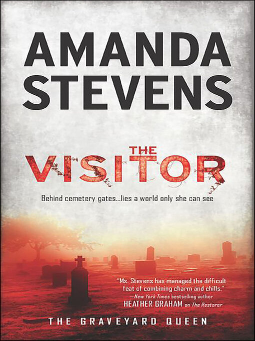 Title details for The Visitor by Amanda Stevens - Wait list